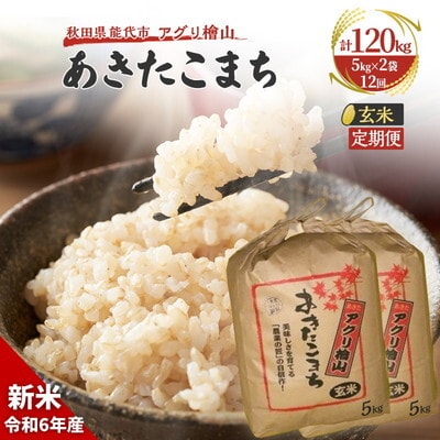  定期便 12回【玄米】秋田県産 あきたこまち 10kg(5kg×2) [No.5335-0623]