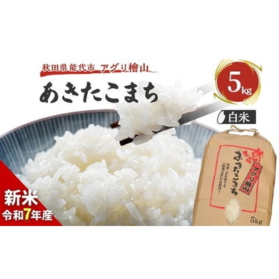  【白米】秋田県産 あきたこまち 5kg アグリ檜山[No.5335-0624]