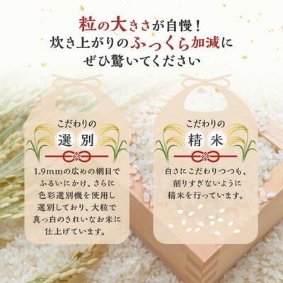 《定期便5ヶ月》【白米】秋田県産 あきたこまち 10kg×5回 [No.5335-0640]