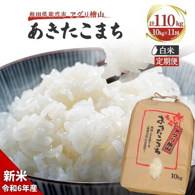  《定期便11ヶ月》【白米】秋田県産 あきたこまち 10kg×11回 [No.5335-0646]