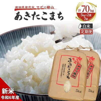  定期便 7回【白米】秋田県産 あきたこまち 10kg(5kg×2) [No.5335-0654]