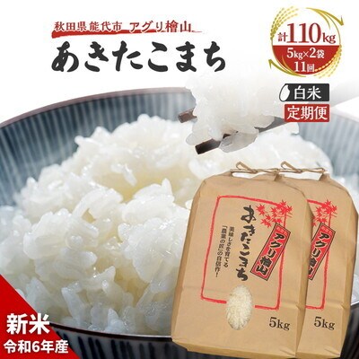  定期便 11回【白米】秋田県産 あきたこまち 10kg(5kg×2)[No.5335-0658]