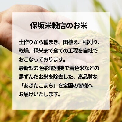 《定期便5ヶ月》白米 つきたて!秋田県産 あきたこまち 10kg×5回[No.5335-0981]