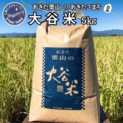 令和7年産 白米 精米 あきた栗山 大谷米 あきたこまち 5kg[No.5335-1500]