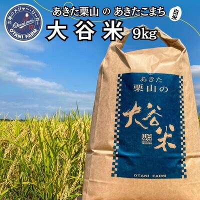令和7年産 白米 精米 あきた栗山 大谷米 あきたこまち 9kg[No.5335-1501]