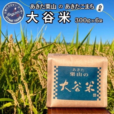 令和7年産 白米 精米 あきた栗山 大谷米 あきたこまち 300g×6袋[No.5335-1502]