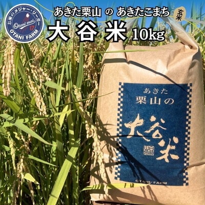 令和7年産 玄米 あきた栗山 大谷米 あきたこまち 10kg[No.5335-1503]