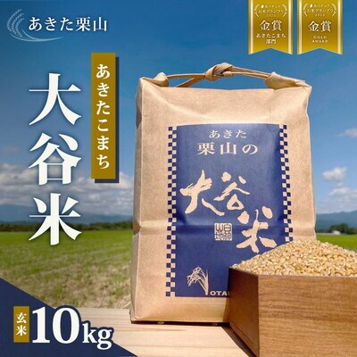 令和7年産 玄米 あきた栗山 大谷米 あきたこまち 10kg[No.5335-1503]