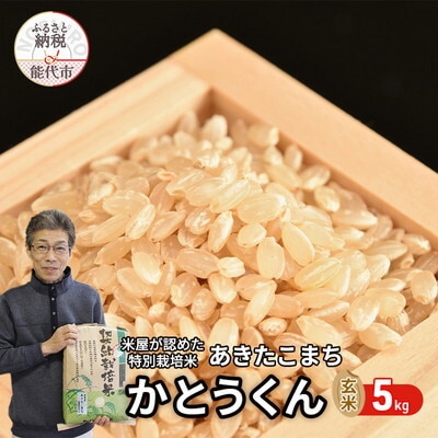 玄米 特別栽培 あきたこまち5kg[No.5335-0929]