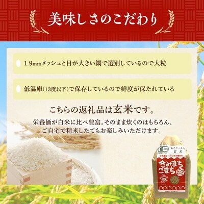 《定期便6ヶ月》【玄米】JAS有機米 きみまちこまち 5kg   [No.5335-1213]