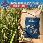 【定期便4ヶ月】令和7年産 あきたこまち10kg ×4回 [No.5335-1744]