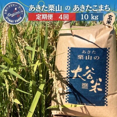 定期便4ヶ月 令和7年産 玄米 あきたこまち 大谷米 10kg×4回 [No.5335-1744]