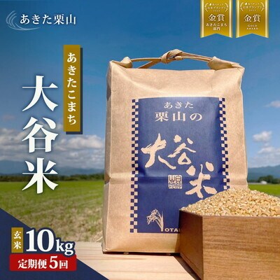 定期便5ヶ月 令和7年産 玄米 あきたこまち 大谷米 10kg×5回 [No.5335-1745]
