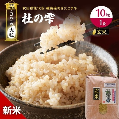 令和7年産 玄米 あきたこまち 杜の雫 10kg 1袋 こだわりの大粒[No.5335-0207]