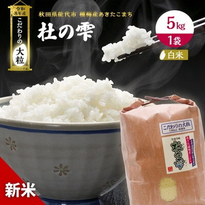 先行予約 新米 令和8年 あきたこまち 5kg 白米 大粒  [No.5335-0209]