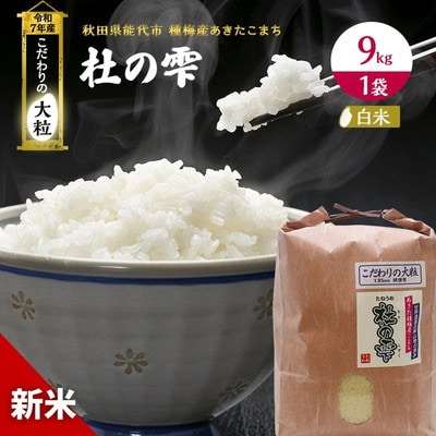 令和7年産 精米 あきたこまち 杜の雫 9kg 1袋 こだわりの大粒[No.5335-0210]