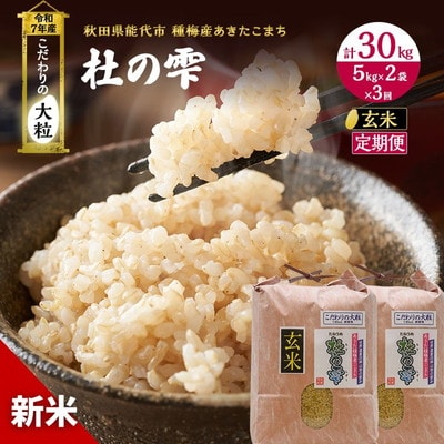定期便3ヶ月 玄米 あきたこまち 杜の雫 10kg 3回 計30kg [No.5335-0422]