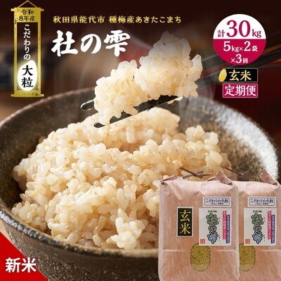 先行予約 新米 玄米 定期便3ヶ月 あきたこまち 10kg 計30kg [No.5335-0422]