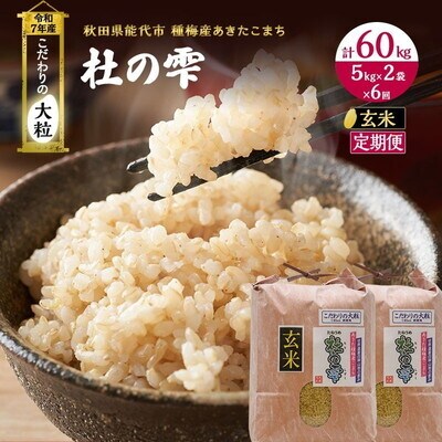 先行予約 新米 玄米 定期便6ヶ月 あきたこまち 10kg 計60kg [No.5335-0425]