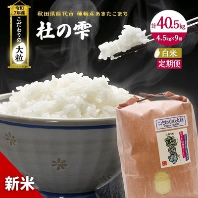 定期便9ヶ月 精米 あきたこまち 4.5kg 9回 計40.5kg [No.5335-0476]