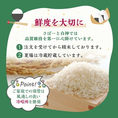 先行予約 新米 定期便3ヶ月 あきたこまち 10kg×3回 計30kg [No.5335-0482]