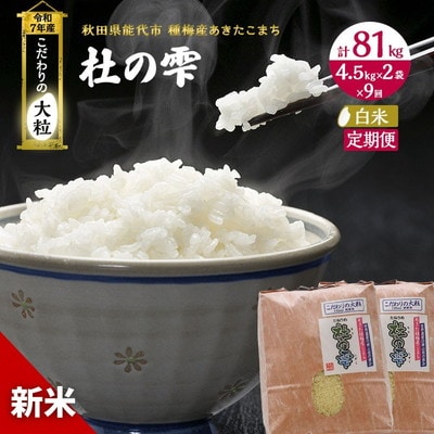 定期便9ヶ月 精米 あきたこまち 杜の雫 9kg×9回 計81kg [No.5335-0488]