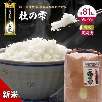 新米 定期便9ヶ月 精米 あきたこまち 杜の雫 9kg×9回[No.5335-0500]