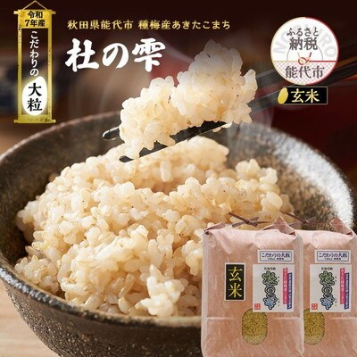 令和7年産 玄米 あきたこまち 杜の雫 10kg こだわりの大粒[No.5335-1517]
