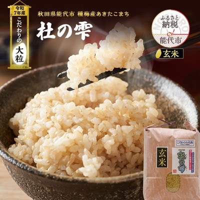 定期便6ヶ月 玄米 あきたこまち 杜の雫 10kg×6回 計60kg[No.5335-1529]