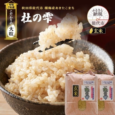令和7年産 玄米 あきたこまち 杜の雫 20kg こだわりの大粒[No.5335-1536]
