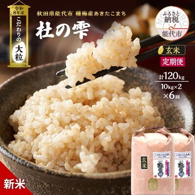 先行予約 新米 定期便6ヶ月 あきたこまち 20kg 計120kg[No.5335-1541]