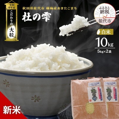 先行予約 新米 令和8年 あきたこまち 10kg 白米 [No.5335-1562]