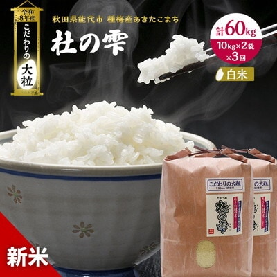 先行予約 新米 定期便3ヶ月 あきたこまち20kg 計60kg [No.5335-1578]