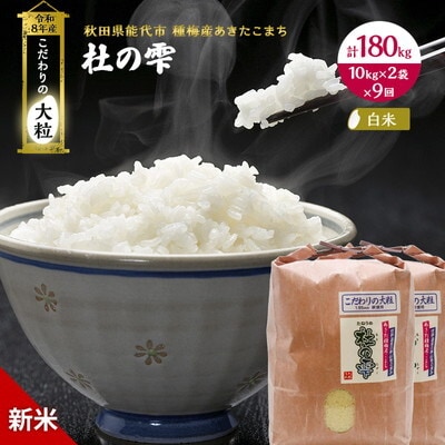 先行予約 新米 定期便9ヶ月 あきたこまち 20kg 計180kg [No.5335-1584]
