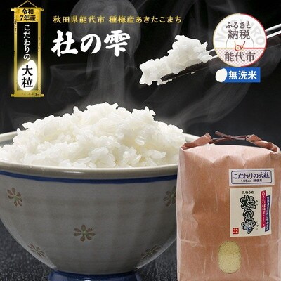 令和7年産 無洗米 あきたこまち 杜の雫 4.5kg こだわりの大粒[No.5335-1595]