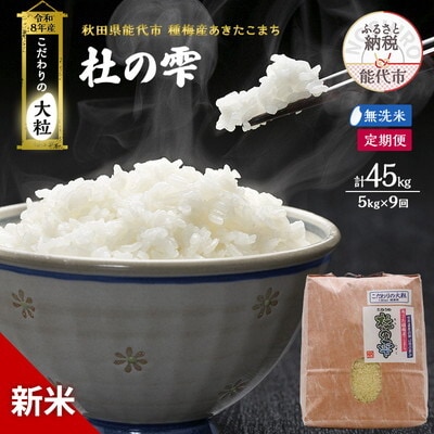 先行予約 新米 無洗米 定期便9ヶ月 あきたこまち 5kg 計45kg [No.5335-1603]