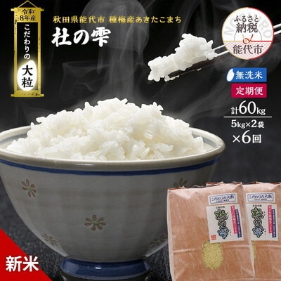 先行予約 新米 無洗米 定期便6ヶ月 あきたこまち 10kg 計60kg[No.5335-1612]