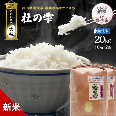 先行予約 新米 令和8年 あきたこまち 20kg 無洗米 [No.5335-1631]