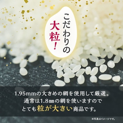令和7年産 無洗米 あきたこまち 杜の雫 18kg  こだわりの大粒[No.5335-1631]