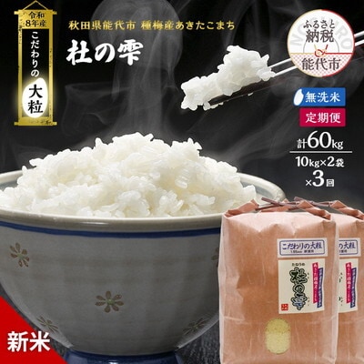 先行予約 新米 無洗米 定期便3ヶ月 あきたこまち 20kg 計60kg[No.5335-1633]