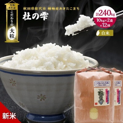 先行予約 新米 定期便12ヶ月 あきたこまち 20kg 計240kg[No.5335-1587]