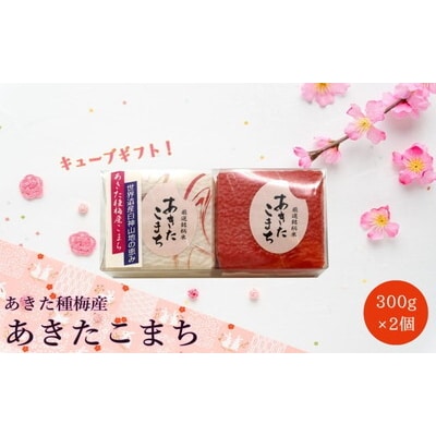 白米 あきたこまち 『300gキューブ』 ギフトセット 300g×2個 [No.5335-0203]