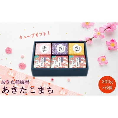 白米 無洗米 あきたこまち 300gキューブ ギフト 300g×6個 [No.5335-0205]
