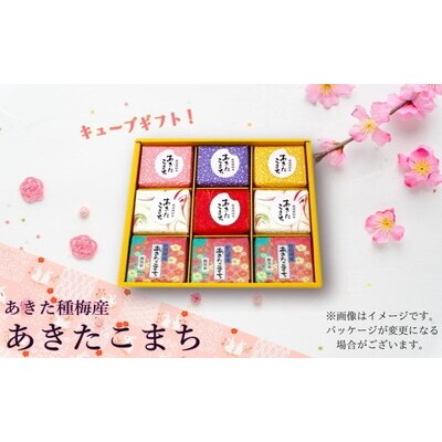 白米 無洗米 あきたこまち 300gキューブ ギフト 300g×9個[No.5335-0206]
