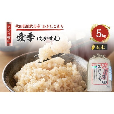 令和7年産 アグリ檜山米 愛季 玄米 5kg  あきたこまち[No.5335-1661]