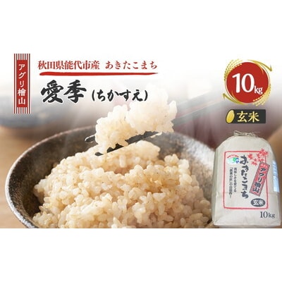 令和7年産 アグリ檜山米 愛季 玄米 10kg  あきたこまち[No.5335-1662]