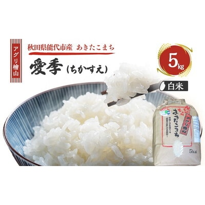 令和7年産 アグリ檜山米 愛季 白米 5kg  あきたこまち[No.5335-1665]