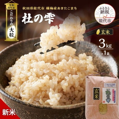 新米 令和8年産 玄米 秋田県産 あきたこまち 3kg[No.5409-0033]