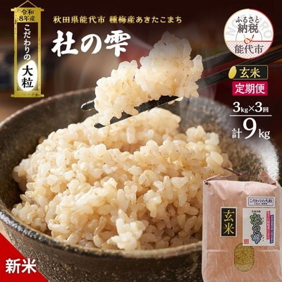 新米 令和8年産 定期便 玄米 秋田県産 あきたこまち 3kg 全3回[No.5409-0034]