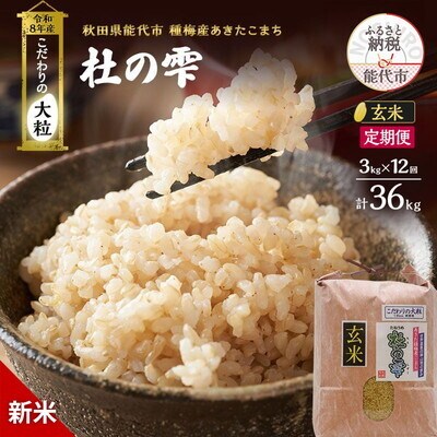新米令和8年産 定期便 玄米 秋田県産 あきたこまち 3kg 全12回[No.5409-0036]